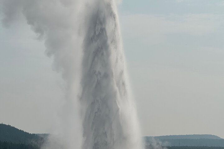 Yellowstone Hot Spots Lower Loop Tour From Cody Wy!