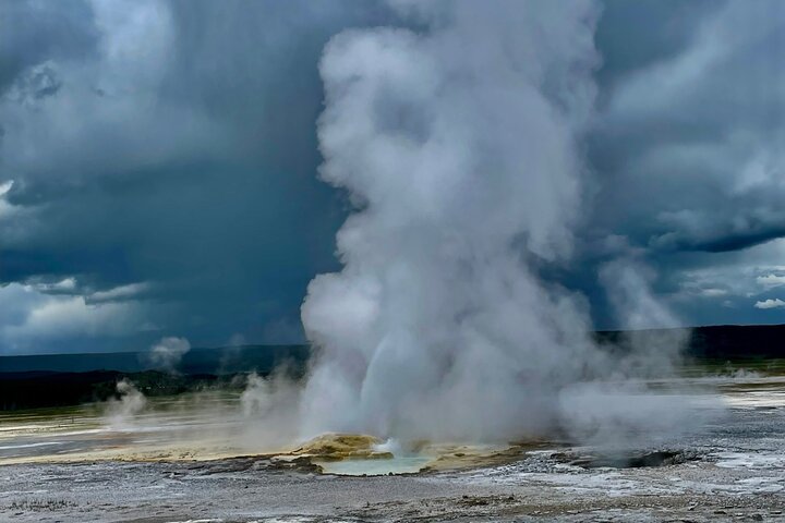 Yellowstone Hot Spots Lower Loop Tour From Cody Wy!