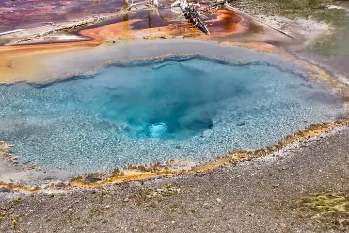 Yellowstone Hot Spots Lower Loop Tour From Cody Wy!