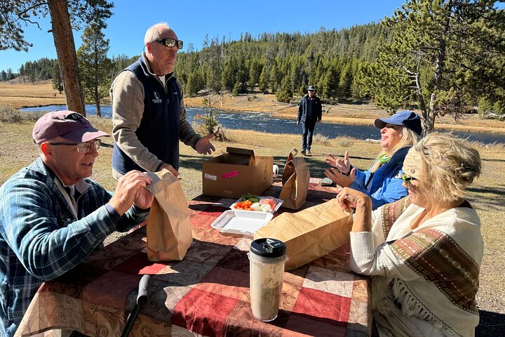 Yellowstone Hot Spots Lower Loop Tour From Cody Wy!