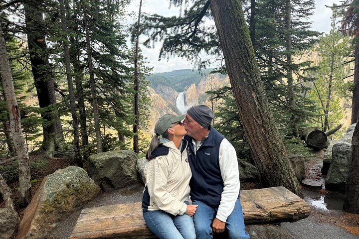 Yellowstone Hot Spots Lower Loop Tour From Cody Wy!