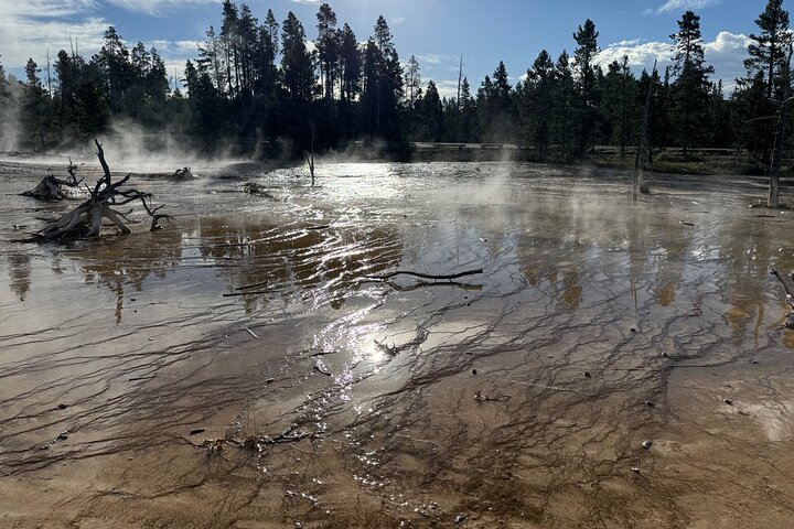 250th Celebration Yellowstone Open Air tour W/lunch and Souvenir