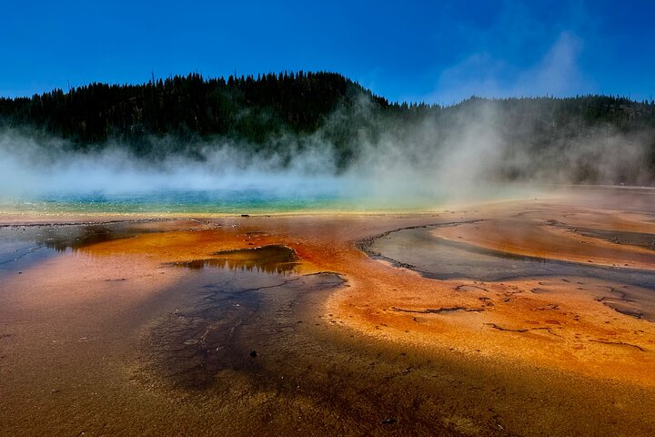 Half Day Yellowstone “Hot Spots” Deals From West Yellowstone