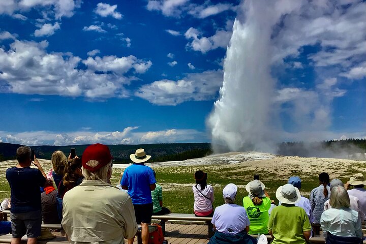 Half Day Yellowstone “Hot Spots” Deals From West Yellowstone