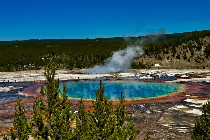 250th Celebration Yellowstone Open Air tour W/lunch and Souvenir