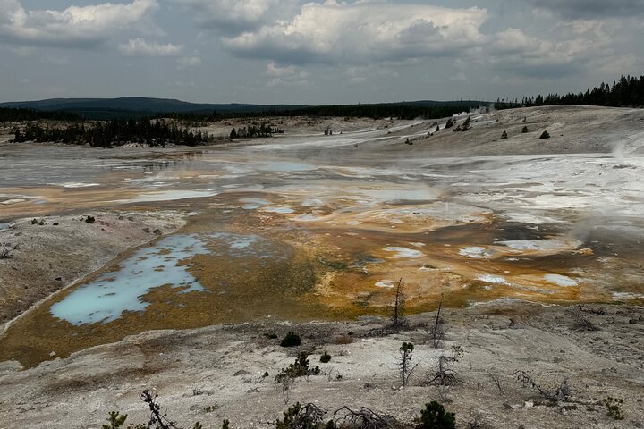 250th Celebration Yellowstone Open Air tour W/lunch and Souvenir