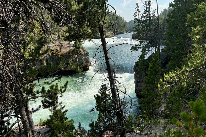 250th Celebration Yellowstone Open Air tour W/lunch and Souvenir