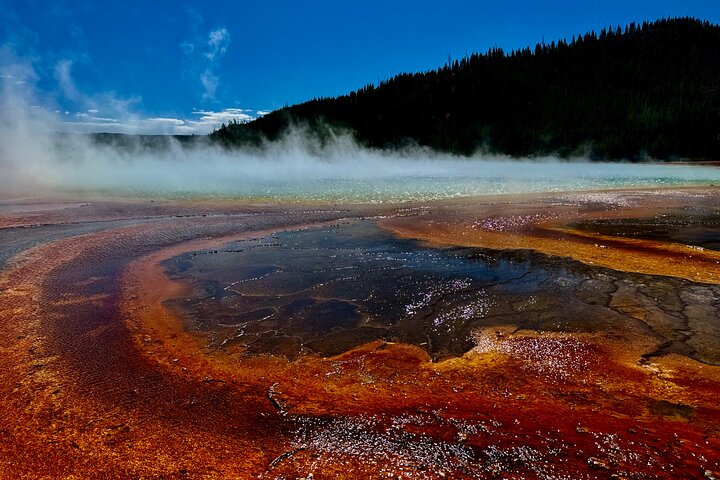 250th Celebration Yellowstone Open Air Tour W/Deals,lunch & Gifts