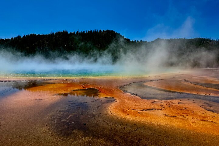 250th Celebration Yellowstone Open Air Tour W/Deals,lunch & Gifts