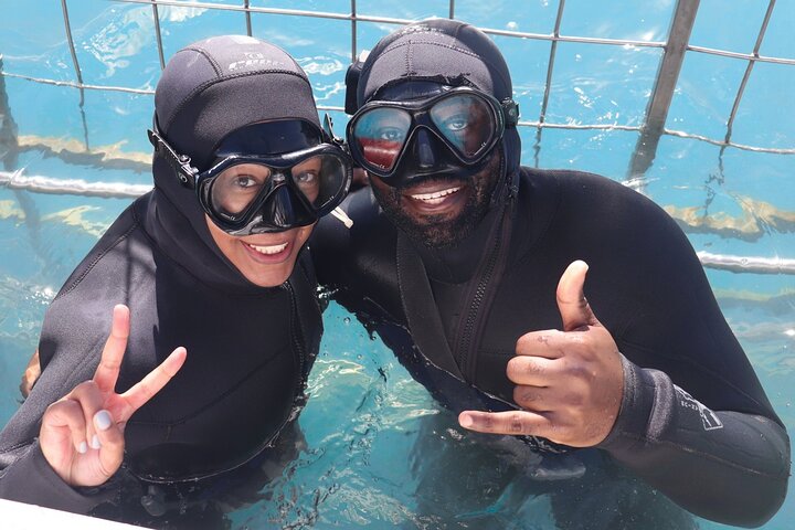 Shark Cage Diving in Gansbaai