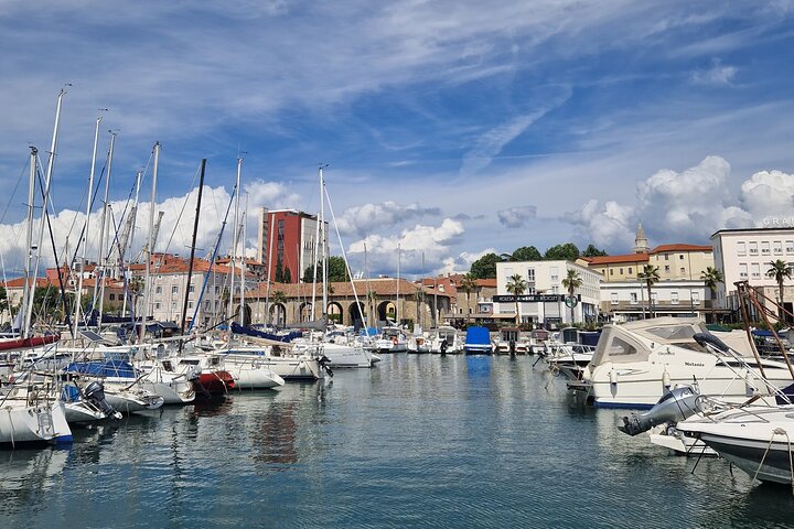 Experience Slovenian Coast line with Wine Tasting from Trieste