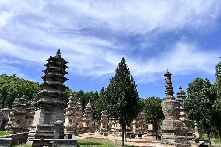Private tour to Longmen Grottoes and Shaolin from Xi'an by train