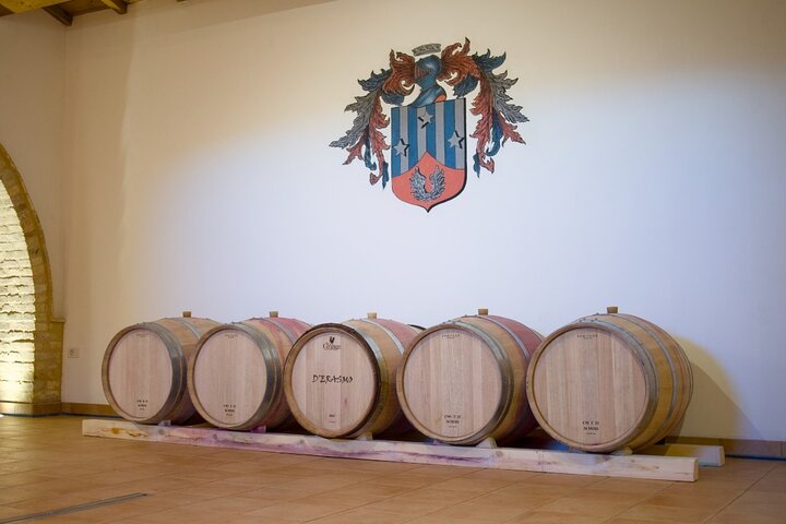 Visit and tasting at Erasmo Winery featuring signature wines