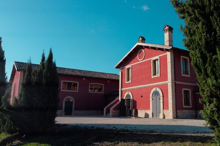 Wine & Local Flavors Tour with Tasting at Cantina D’Erasmo