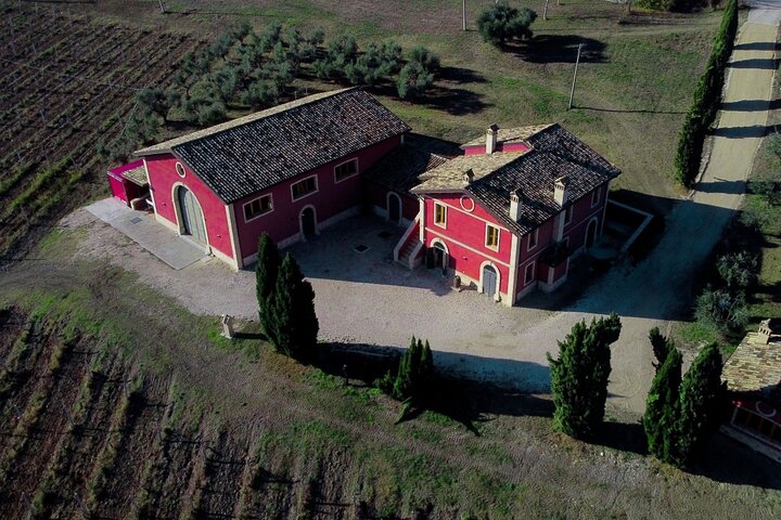 Visit and tasting at Erasmo Winery featuring signature wines