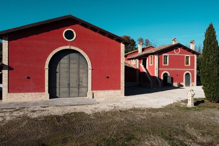 Wine & Local Flavors Tour with Tasting at Cantina D’Erasmo