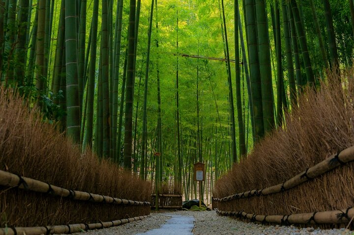 Kamakura Samurai Legends Shrines and the Great Buddha