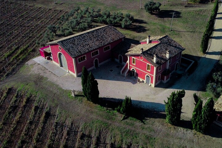 Wine & Local Flavors Tour with Tasting at Cantina D’Erasmo