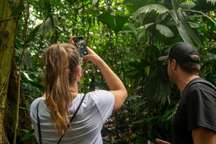 Limón Rainforest Hanging Bridges-Skywalk Tour & Tortuguero Canals