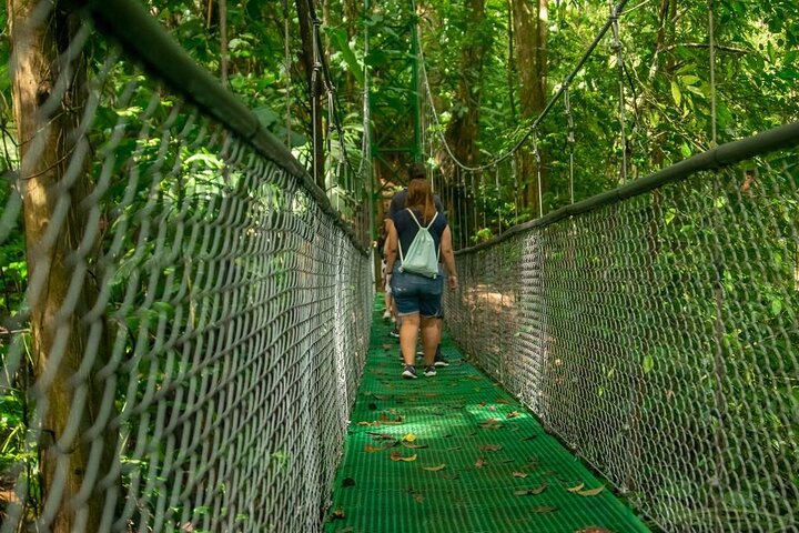 Limón Rainforest Hanging Bridges-Skywalk Tour & Tortuguero Canals