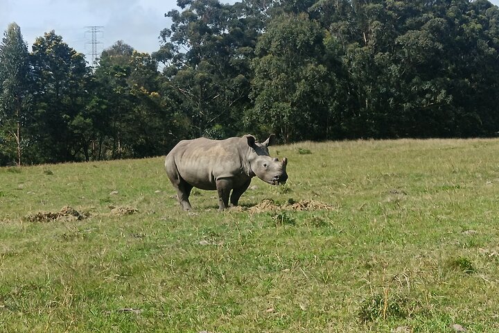 Kragga Kamma Game Park Safari Guided Tour in Port Elizabeth