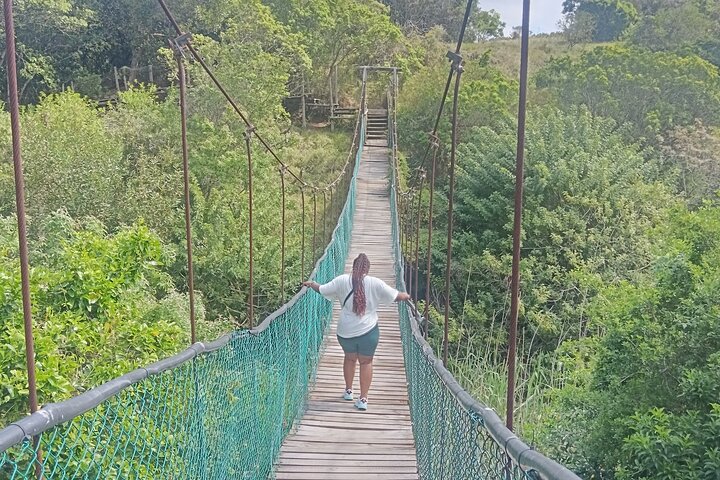 Kragga Kamma Game Park Safari Guided Tour in Port Elizabeth