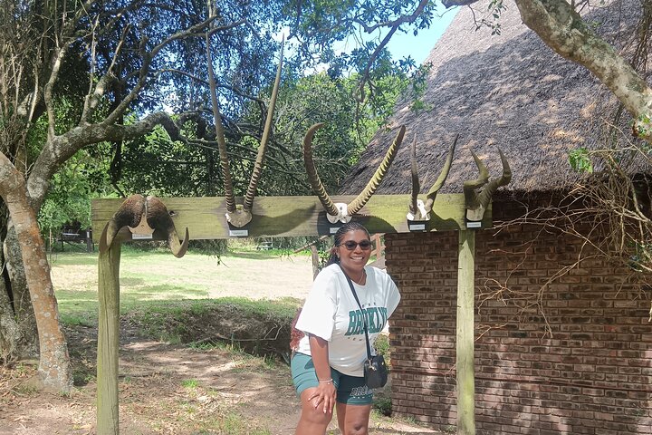 Kragga Kamma Game Park Safari Guided Tour in Port Elizabeth