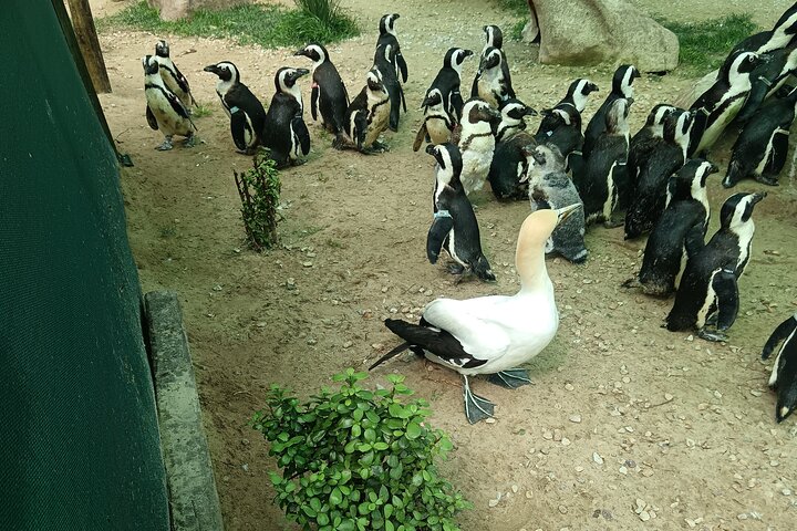 Guided Port Elizabeth Coastal Tour