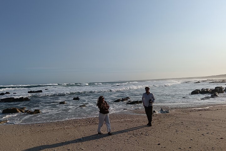 Guided Port Elizabeth Coastal Tour