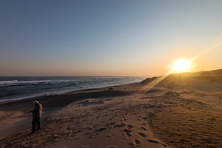 Guided Port Elizabeth Coastal Tour