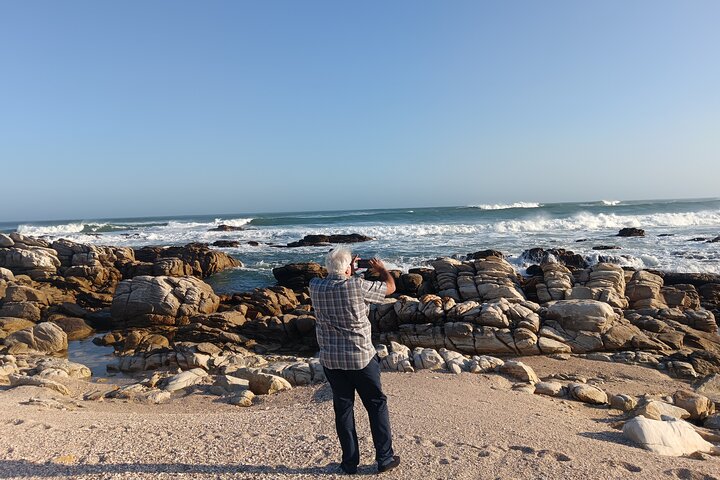 Guided Port Elizabeth Coastal Tour