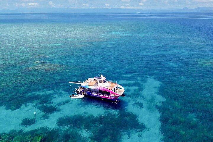 Half Day Great Barrier Reef Snorkeling Tour