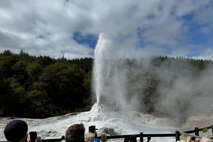 2 Days Private Tour in Tauranga, Rotorua, Taupo from Hamilton