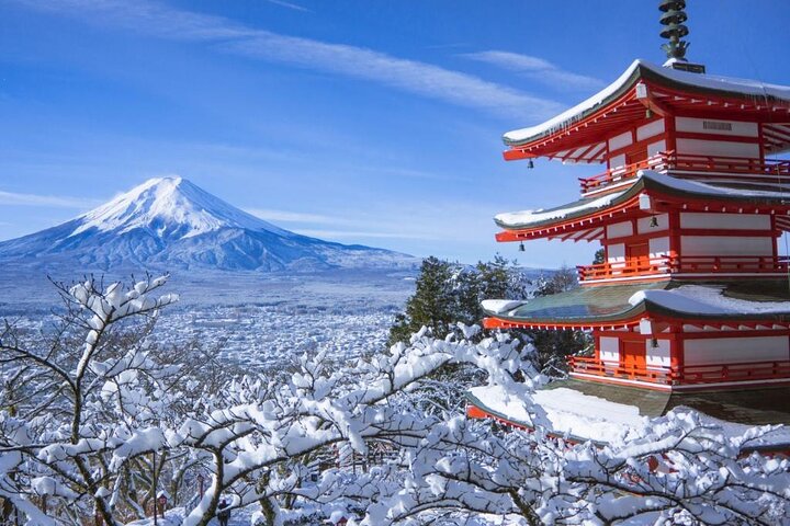 Tokyo: Narita Airport (NRT) Private Transfer to/from City Center