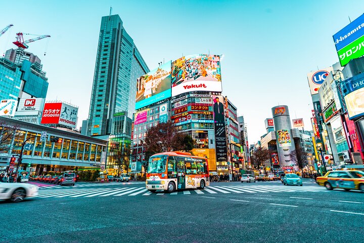 Tokyo: Narita Airport (NRT) Private Transfer to/from City Center