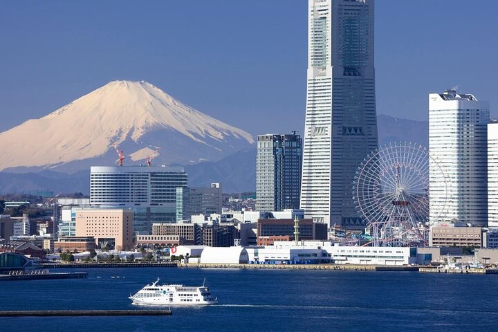 Tokyo: Narita Airport (NRT) Private Transfer to/from City Center
