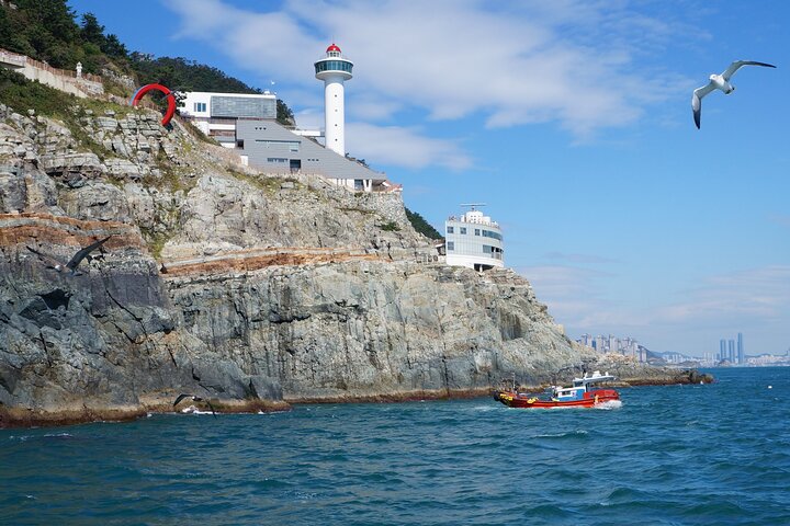 Guaranteed Return - Busan Shore Excursion for Cruise Guests