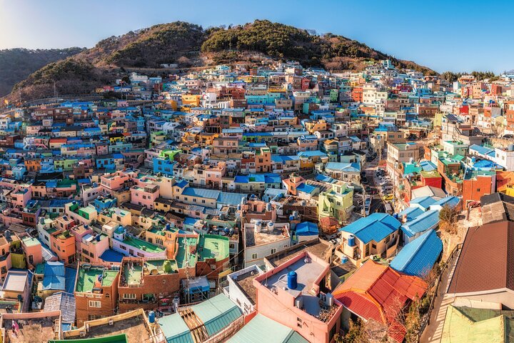 Guaranteed Return - Busan Shore Excursion for Cruise Guests