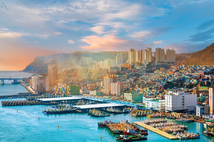 Authentic Busan Full-Day City Highlights Tour