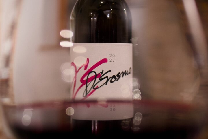 Visit and tasting at Erasmo Winery featuring signature wines
