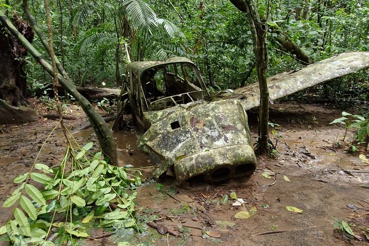 Corcovado National Park Sirena Day Tour From Puerto Jimenez
