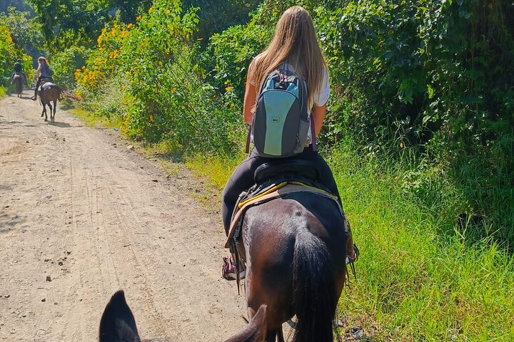 Horseback Riding Tour in San Pedro La Laguna