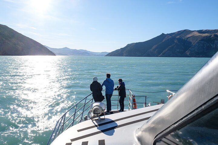 Akaroa Harbour Nature Cruise