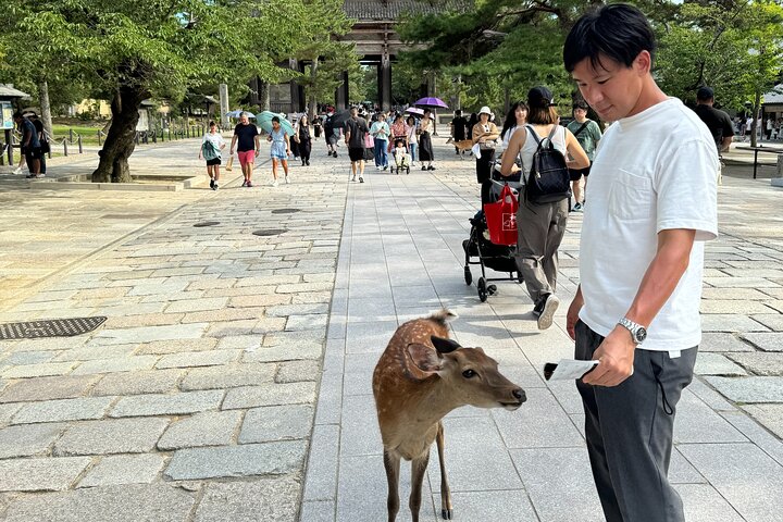 Nara: Half-Day Private Tour of 4 Must-See Spots & Deer Park