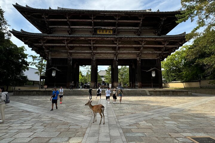 Nara: Half-Day Private Tour of 4 Must-See Spots & Deer Park