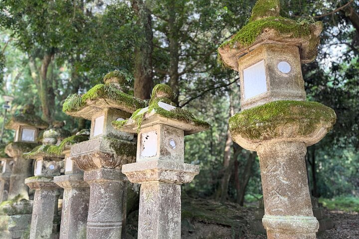 Nara: Half-Day Private Tour of 4 Must-See Spots & Deer Park
