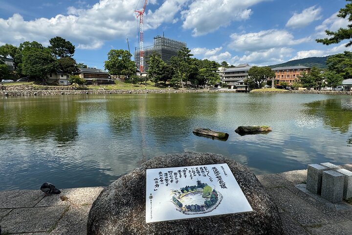 Nara: Half-Day Private Tour of 4 Must-See Spots & Deer Park