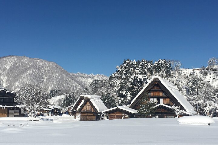[One-day bus tour departing from Kanazawa Station] Shirakawa-go/Takayama tour platinum route bus tour