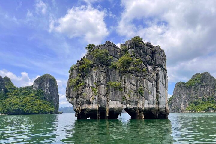 Halong Bay 5-Star Day Cruise-Titop Island, Cave, Jacuzzi & Buffet