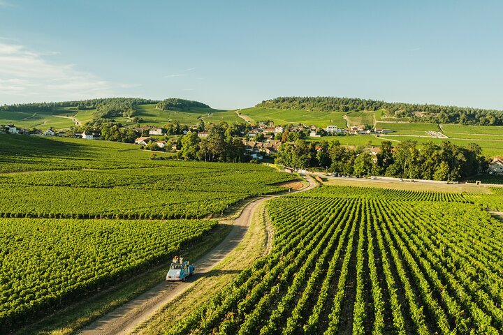 1-day guided tour on the Burgundy Wine Route in a classic car